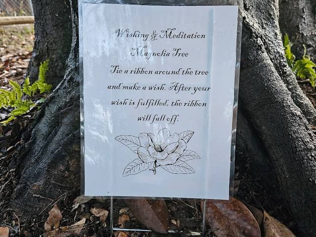 Augusta Wishing Tree - Image 3