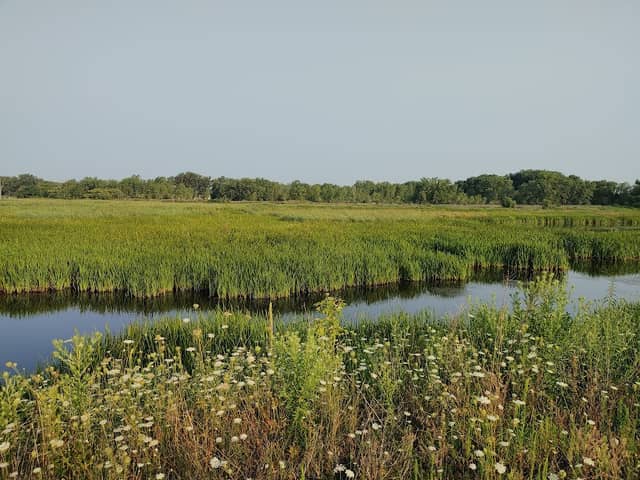 Burnham Prairie Nature Preserve - Image 2