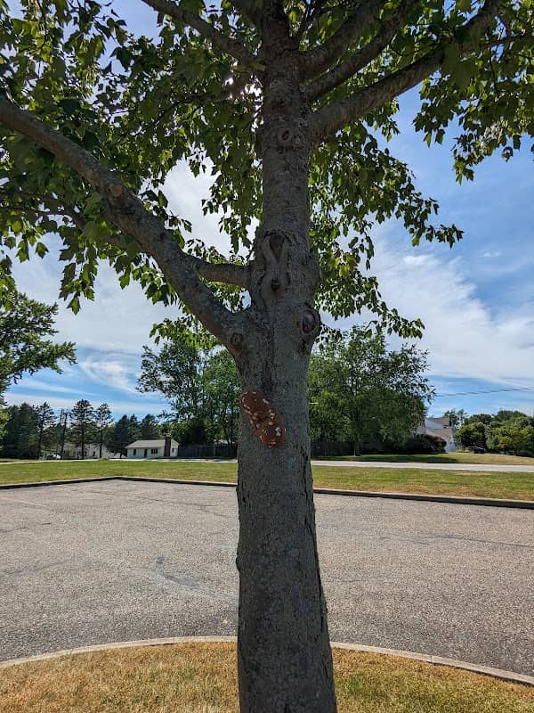 Kreighbaum Park - Image 1