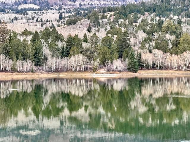 Wrigley Reservoir - Image 2