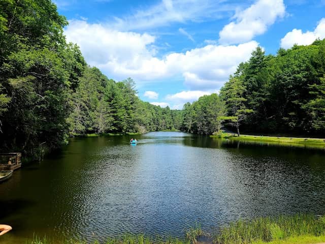 Seneca State Forest - Image 1