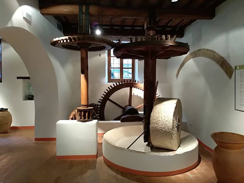 Wine Museum - Image 1