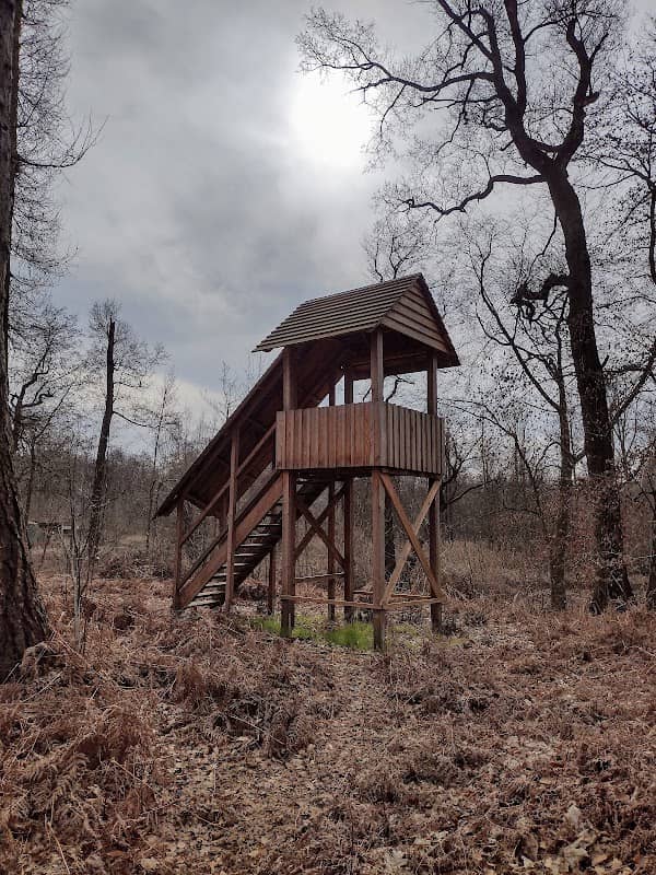 Waldentdeckungspfad Naturerlebnis Krendel - Image 1