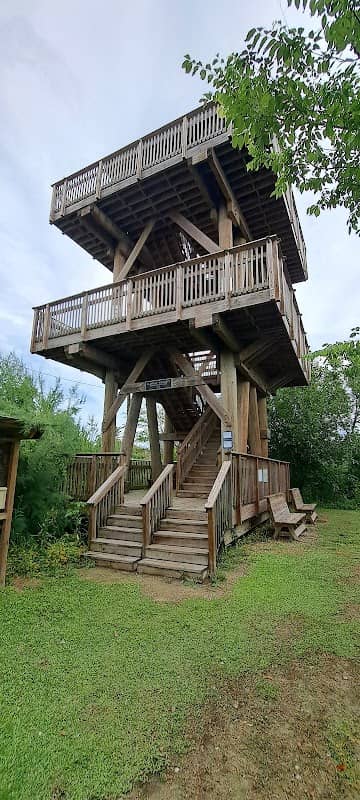 Alongis-Cornett Observation Tower - Image 1