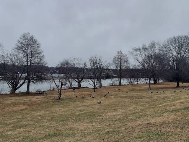 M.C. Martin Park - Image 5