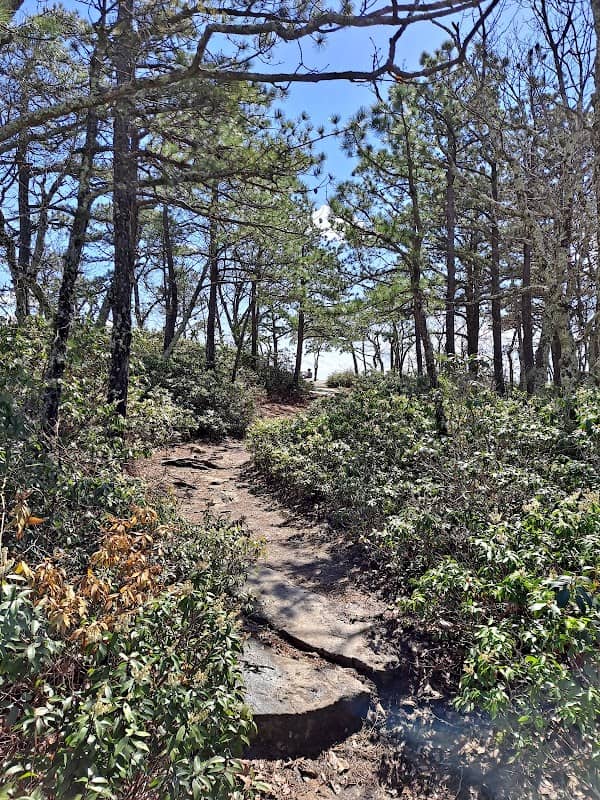McAfee Knob - Image 3