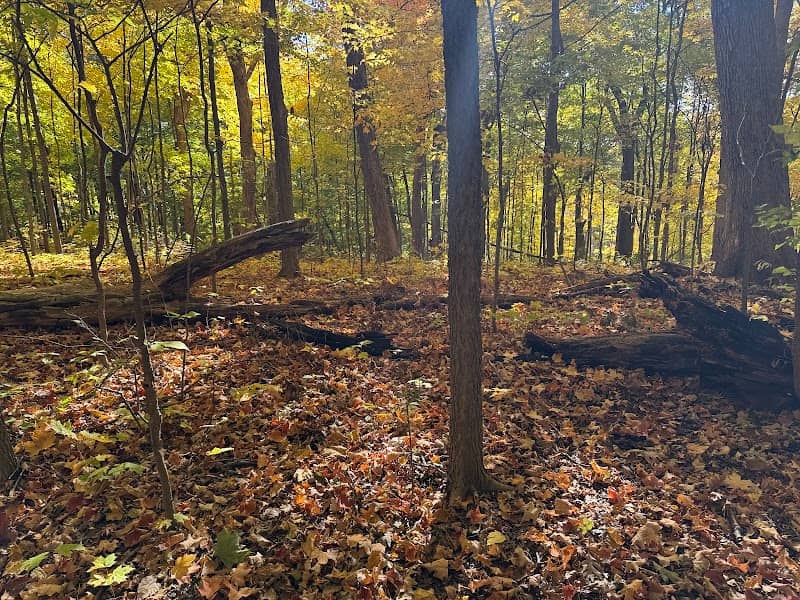 Alpine Trail - Image 1
