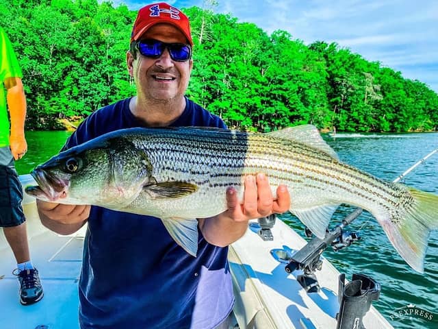 The Shad Taxi Striper Guide Service - Image 1
