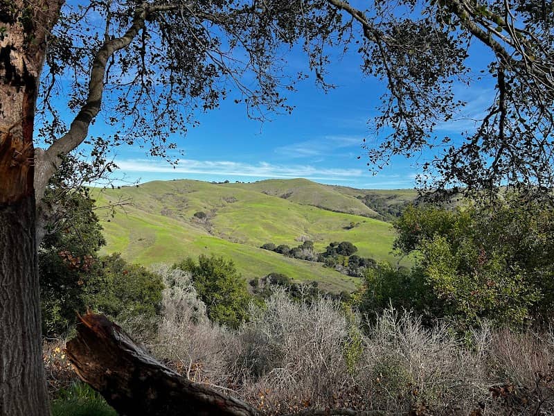 Alvarado Park - Image 2