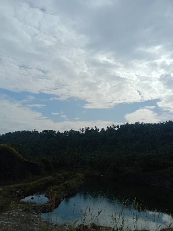 Myladippara view point - Image 1