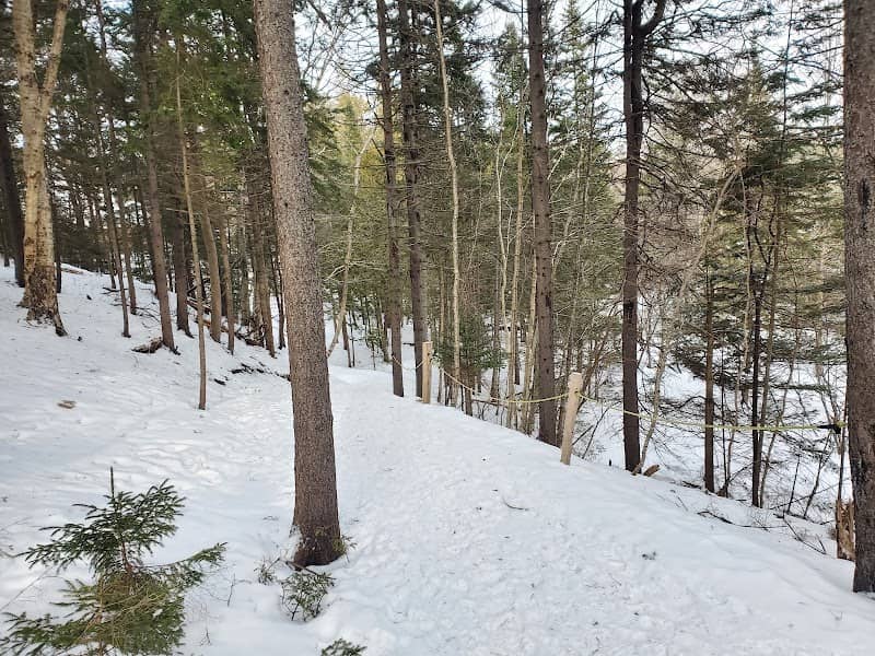 Alderbrook Dr. & Doncaster Dr. Walking Trail - Image 2