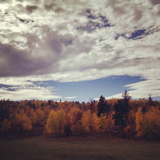 Black Hills National Forest - Image 2