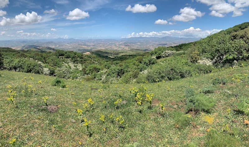Riserva naturale orientata Monte Genuardo e Santa Maria del Bosco - Image 1
