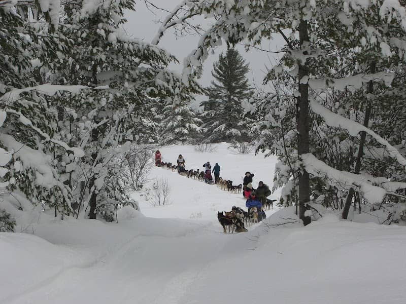 Husky Haven Kennels - Image 1