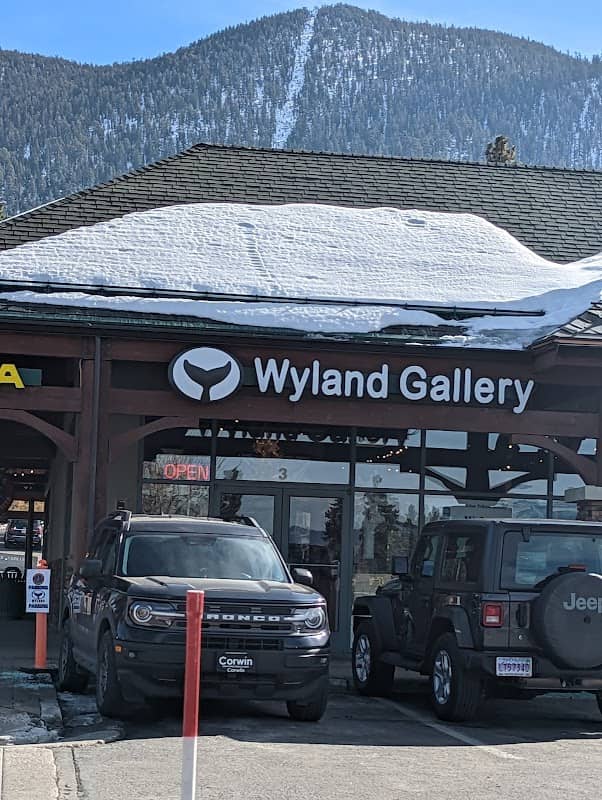 Wyland Galleries - Image 2