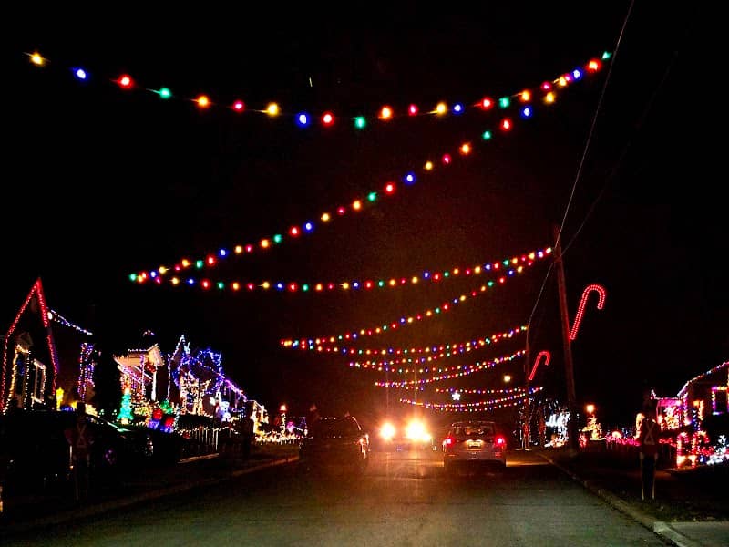 Candy Cane Lane - Image 2