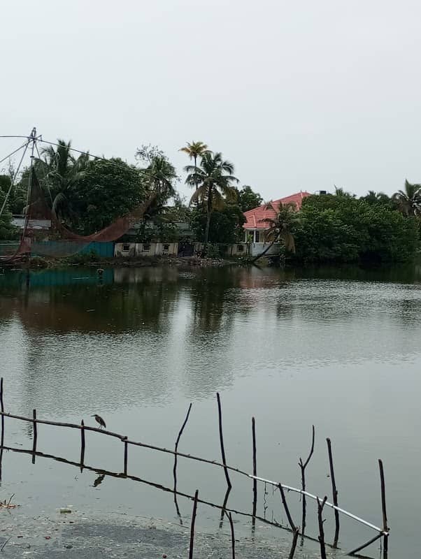 Pallithode, Thuravoor - Image 1