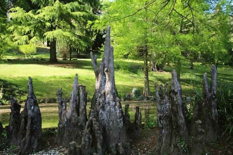Parco Rossi - Image 1
