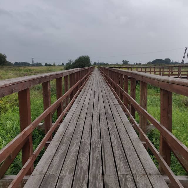 Żmigrodzie Ogrody Bioróżnorodności - Image 1