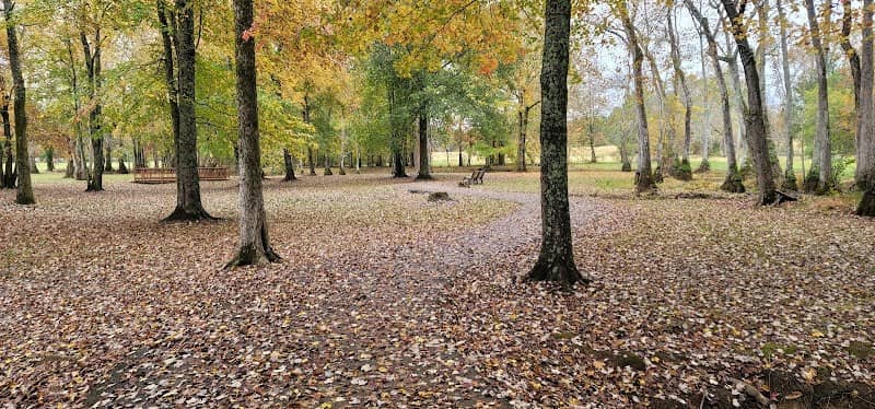 England Park & Blue Eye Trail - Image 1
