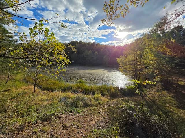 McDonough Park - Image 2