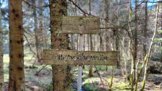 Gilgbachquelle - Image 1