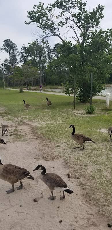 Bill Morris Park - Image 1