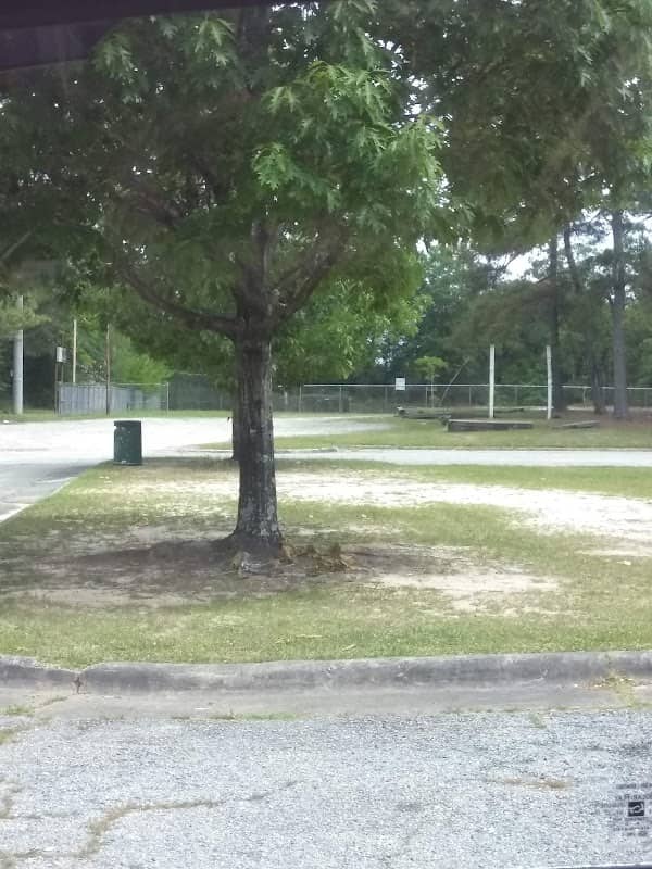 Belvedere Park - Image 2