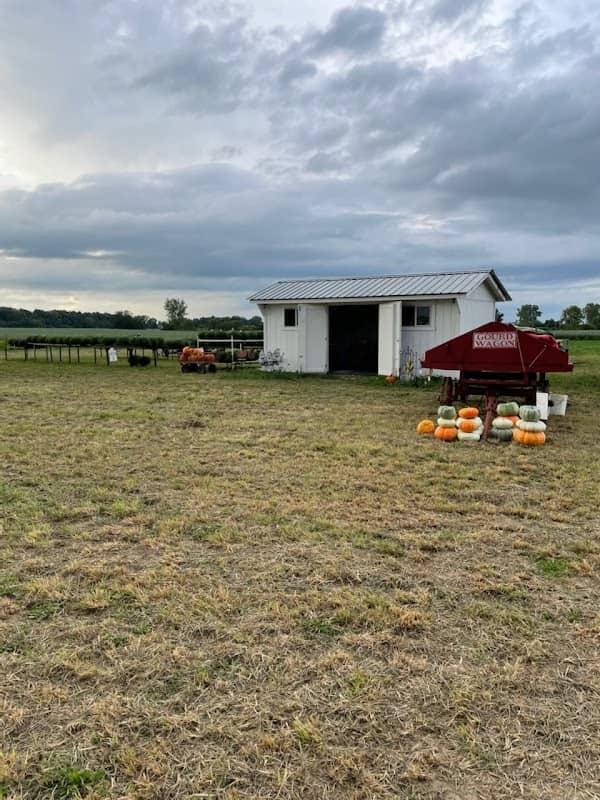 Violet View Farms - Image 1