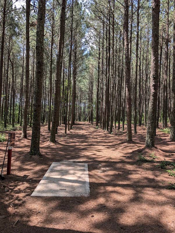 Heritage Pines Disc Golf Course - Image 1