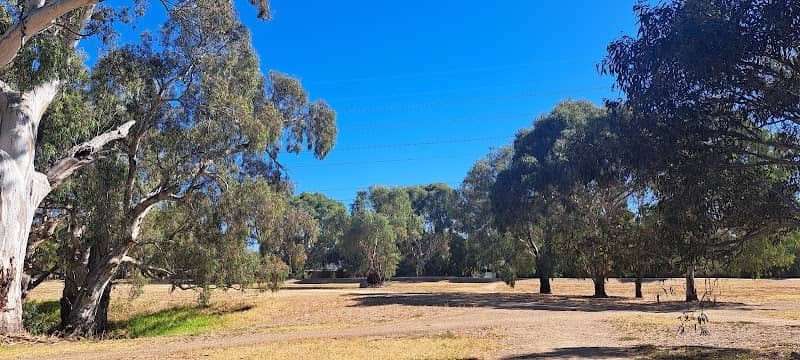 Little Para Linear (Lower) Reserve - Image 1