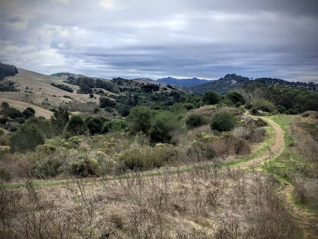 Alvarado Park - Image 3