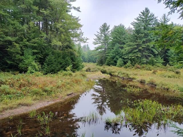 Shillaber Conservation Easement - Moose Mountain Regional Greenways - Image 2