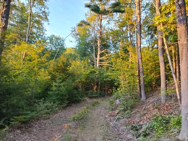 Shillaber Conservation Easement - Moose Mountain Regional Greenways - Image 1