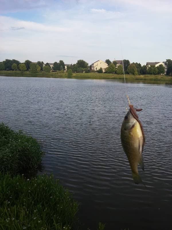Wheatlands Park - Image 1