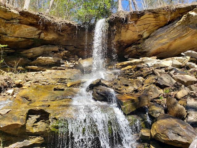Contentment Falls Spring Cave - Image 2