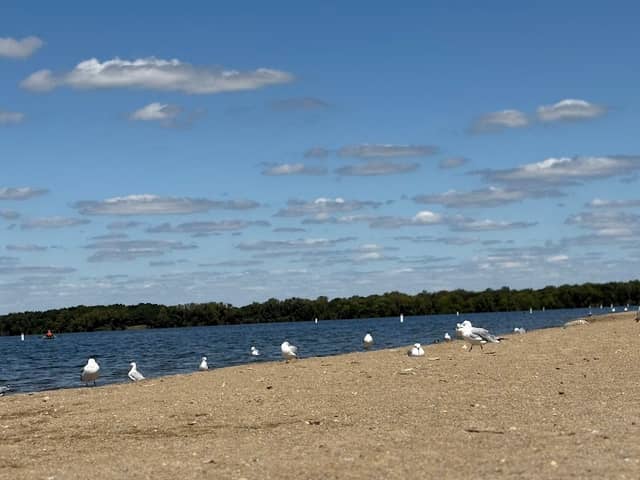 Buck Creek Nature Park - Image 2