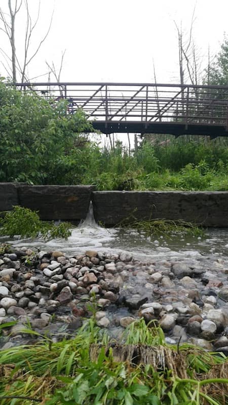 Woodland Park Wetlands - Image 2