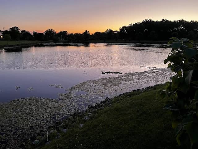 Brookside Meadows Park - Image 1