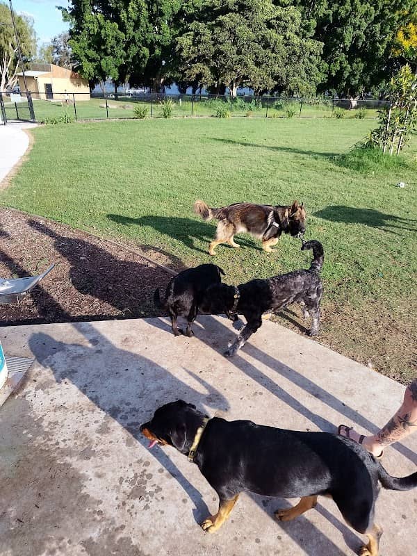 Corcoran Dog Park - Image 2