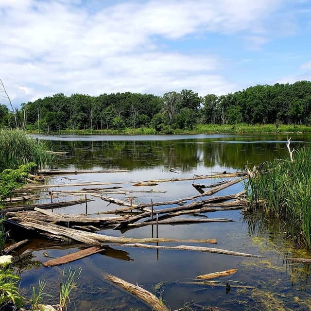Mellody Farm Nature Preserve - Image 1