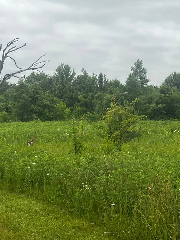 Mellody Farm Nature Preserve - Image 2