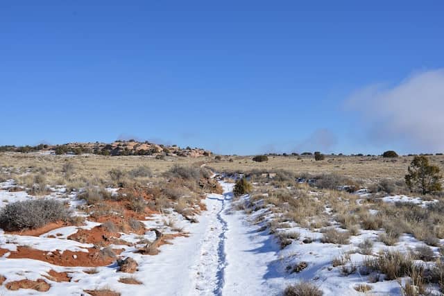 Murphy Hogback Loop Trail - Image 3