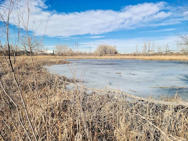 Gateway Lakes Natural Area - Image 2