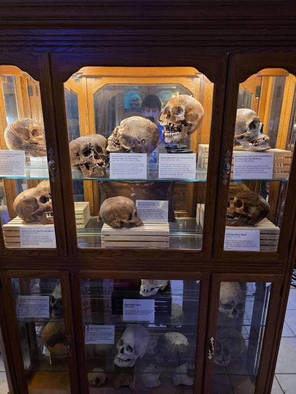 The Michigan Museum of Horror - Image 1