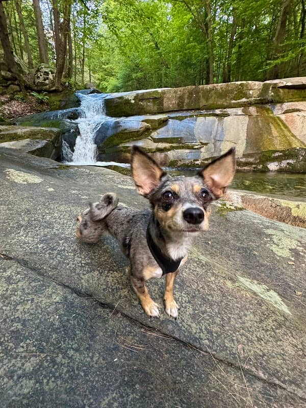 StickneyBrookFalls - Image 2