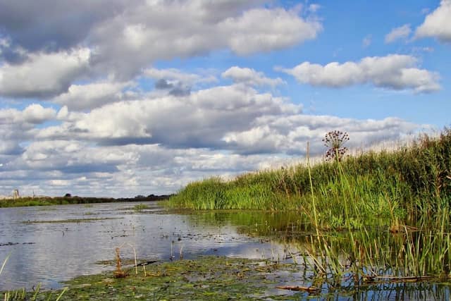 Lower Odra Valley Landscape Park - Image 2