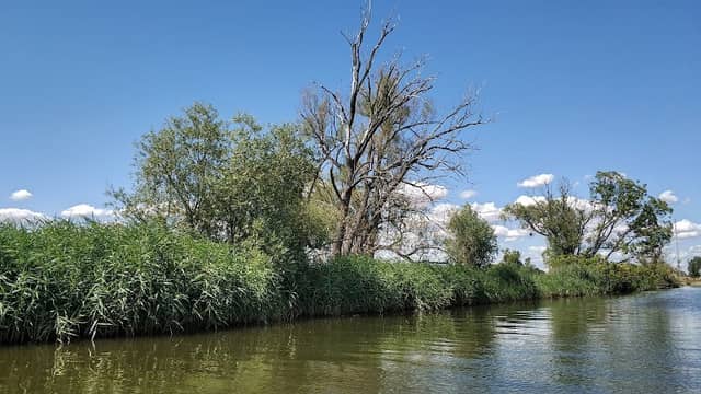 Lower Odra Valley Landscape Park - Image 3