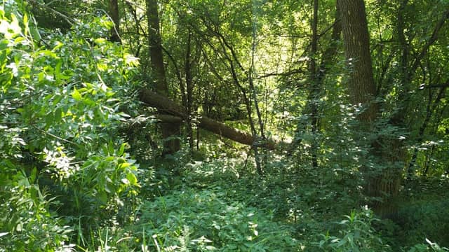 Robinson Park - Image 1