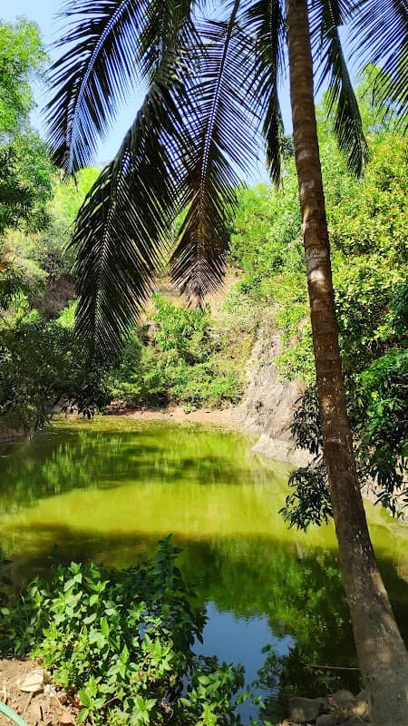 kabaka pond view point - Image 1